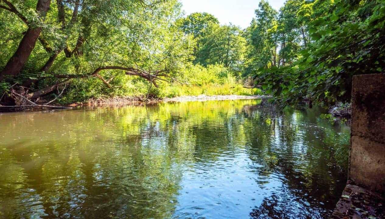 Monnow Valley Studio, Monmouthshire – River with overhanging trees and grassy banks at the property edge.