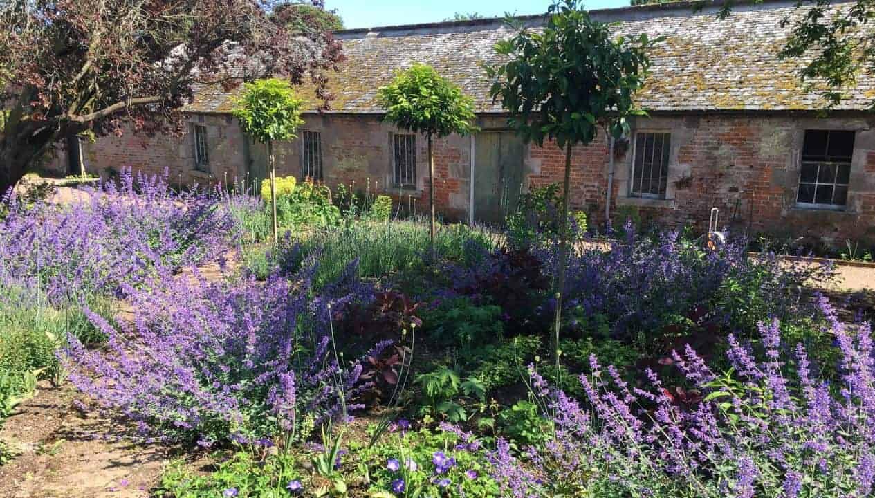 Leuchie Walled Garden – Red-brick converted farm building with lavender-filled walled garden and trained fruit trees.