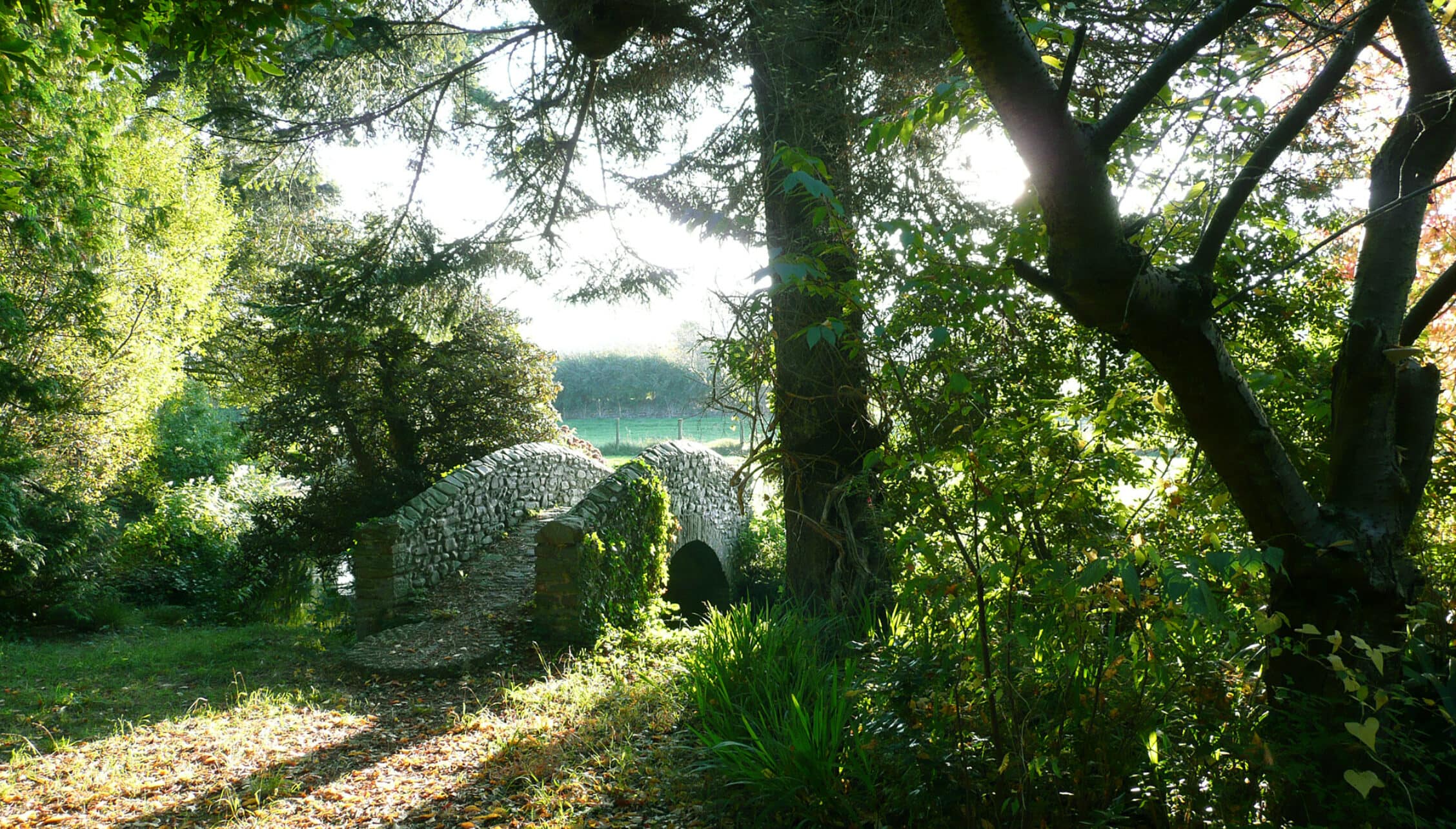 Bossington Hall, Somerset – Stone bridge framed by mature trees with lake visible beyond.