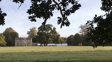 IMG 3616