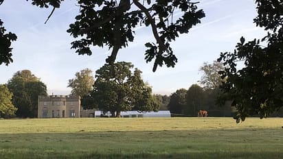 IMG 3616